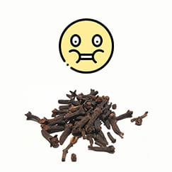 Mastigar Cravo da Ìndia faz bem?